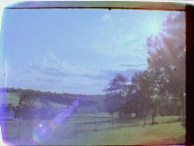 The sun shines down on a grassy field with trees
