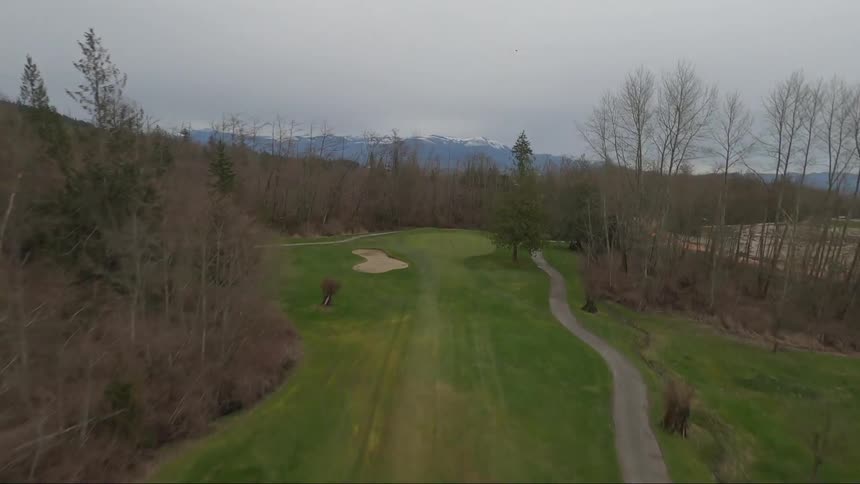 Two people are playing golf together during the day