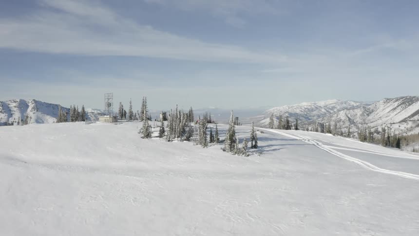 Snowy mountains and conifers