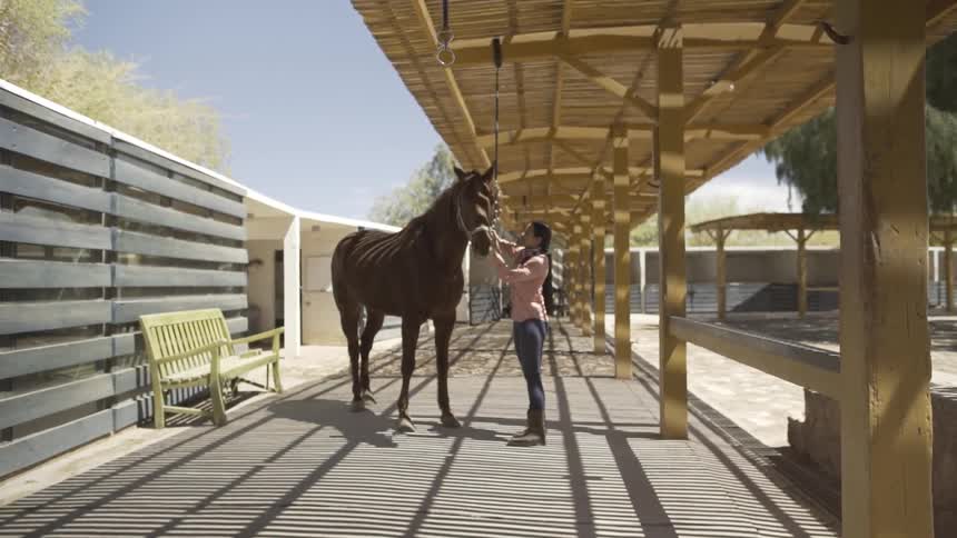 A woman wearing a pink shirt and jeans stands beside a brown horse under a covered stable walkway adjusting its bridle on a sunny day