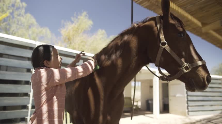 A woman wearing a scarf brushes a horse in an open stall