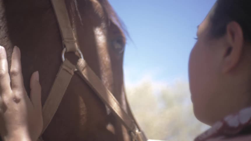 Woman petting a brown horse