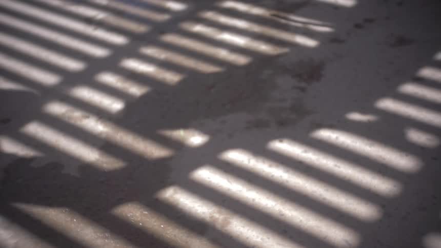Shadows of a person interacting with a horse viewed through vertical bars cast a striped pattern on the concrete floor