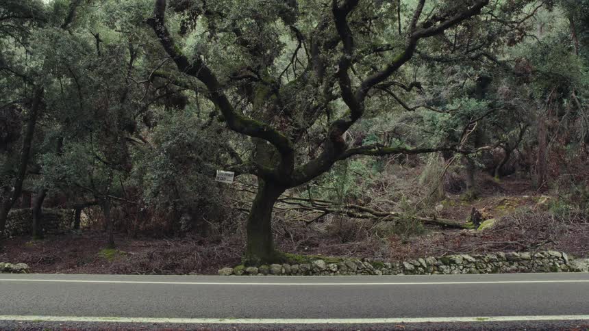 A cyclist rides down a street
