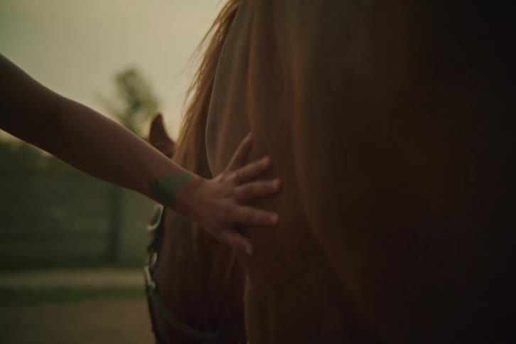 Veterinarian running her hand over the side of a horses body