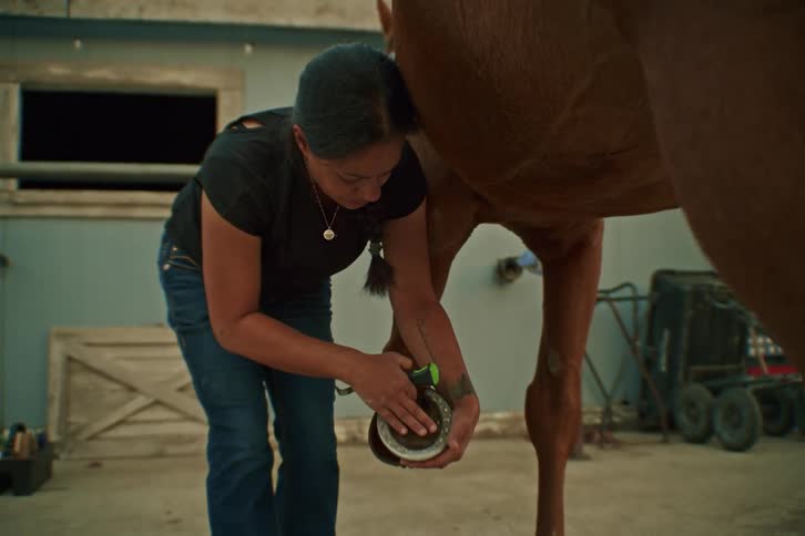 Woman holds the hoof of a horse while picking at it