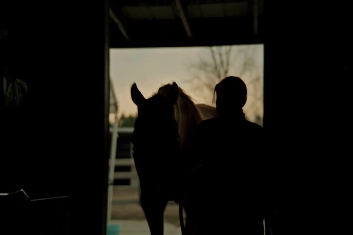 Woman leads a horse into the stables during a cloudy day