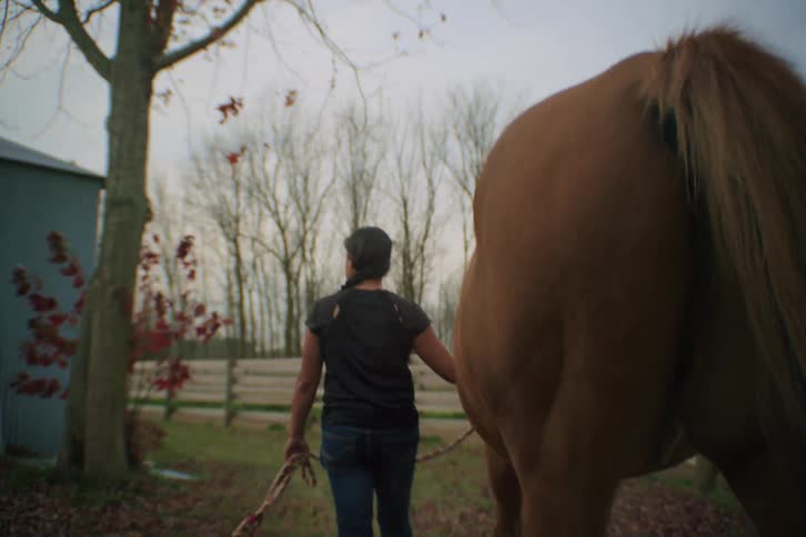 Woman walking and leading a horse in a rural setting