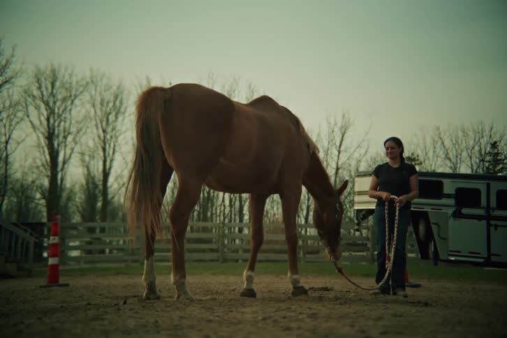 A woman watches a horse roll in the dirt