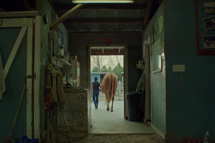 Woman leading a horse outdoors from stables