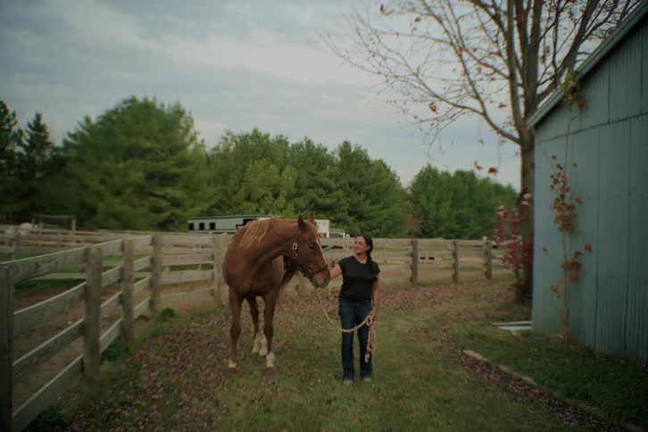 A woman in a black tshirt and jeans stands holding the lead rope of a brown horse in a grassy paddock next to a blue building looking at the animal