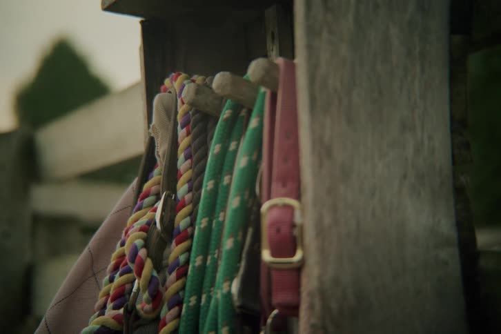 Horse ropes on a wooden stand next to a fence