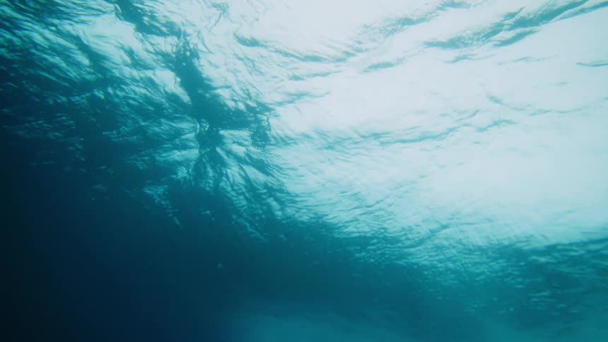 Waves flowing at the top while many coral reefs sit at the bottom of the ocean