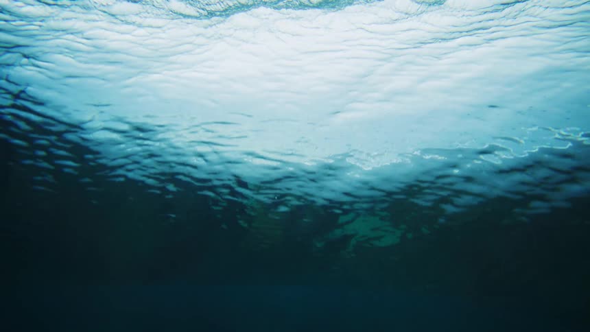Sunlight shines down underwater