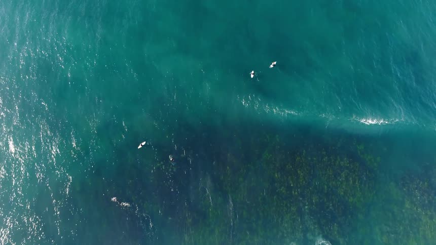 People are in kayaks in the ocean
