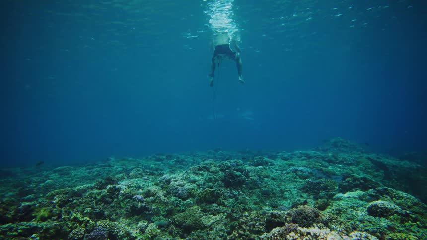 A man is floating on his surfboard underwater