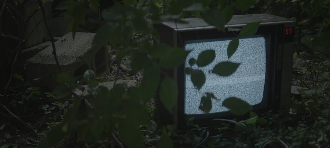 Tv flickering static outside surrounded by tree branches