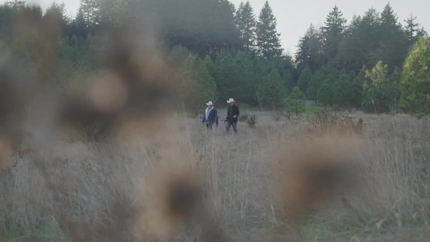 Two men in straw hats walk through a dry field surrounded by pine trees