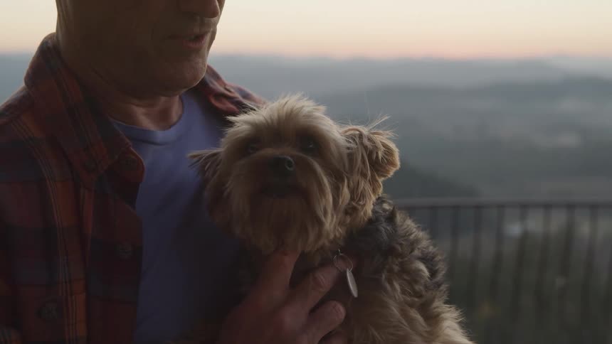 A man holds a small fluffy yorkshire terrier like dog that licks its lips while overlooking a misty landscape at dawn or dusk