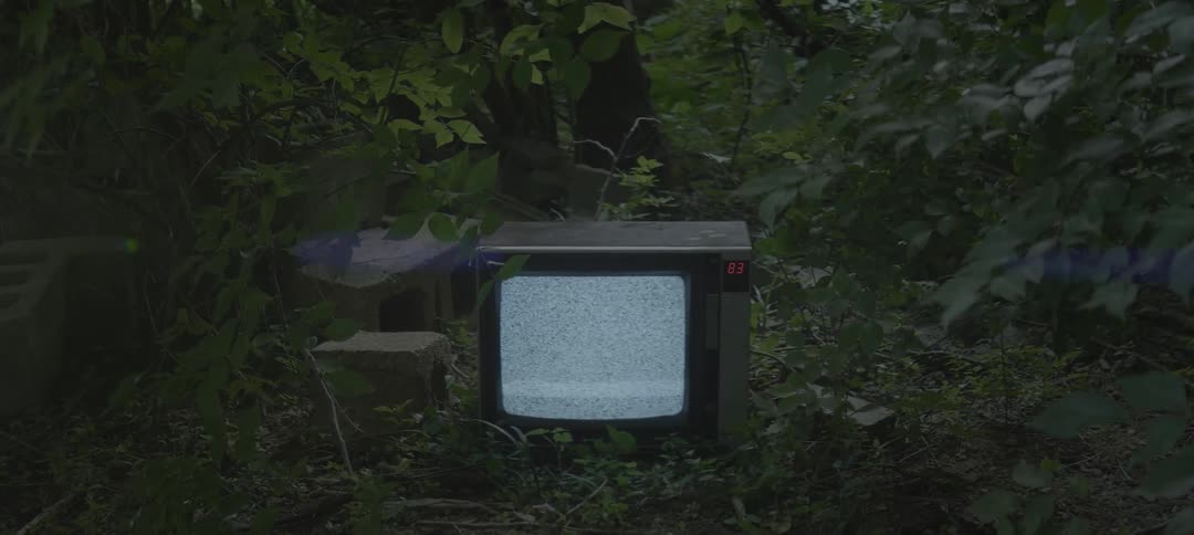 Tv flickering static outside surrounded by trees
