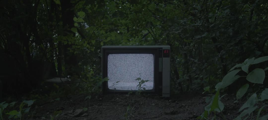 Tv flickering static outside surrounded by tree branches