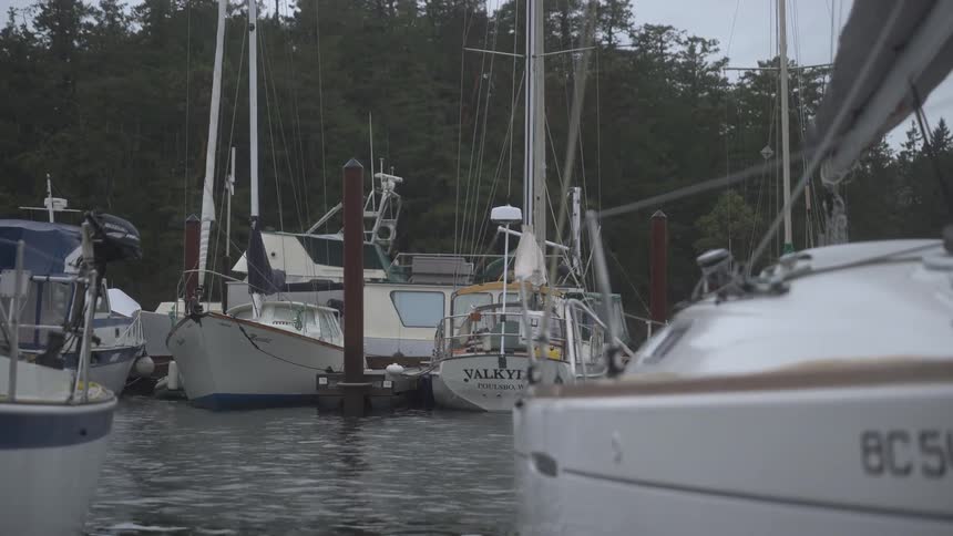 Sailing bots are docked in the harbor