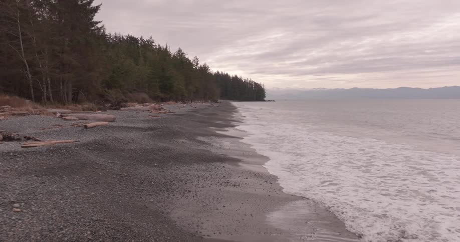 The waves nearly reach the forest on the beach