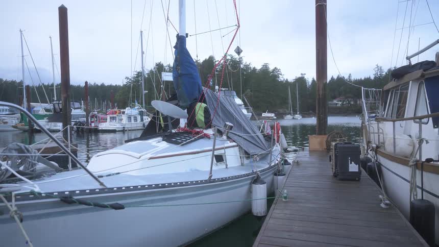 A white yacht parked next to a wooden pier in a marina
