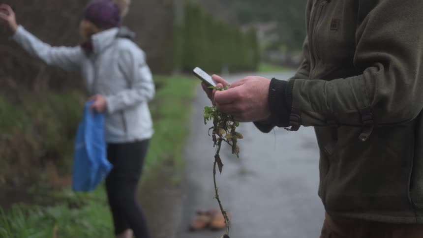 Man next to woman talking on video call while picking sprouts on the side of the road