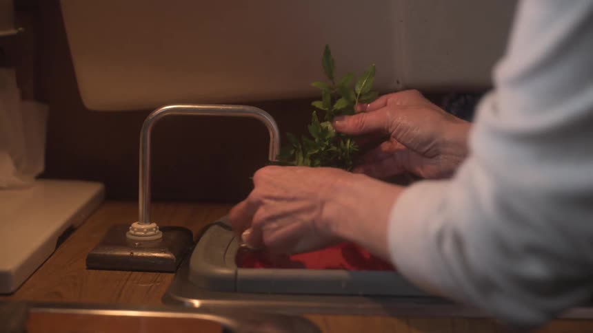 Pair of siblings washing green spices in kitchen sink
