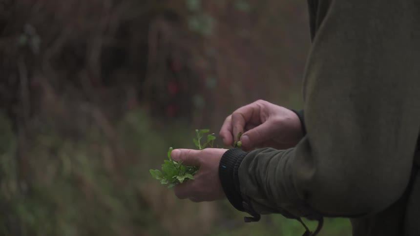 Close up of a persons hands selecting spices