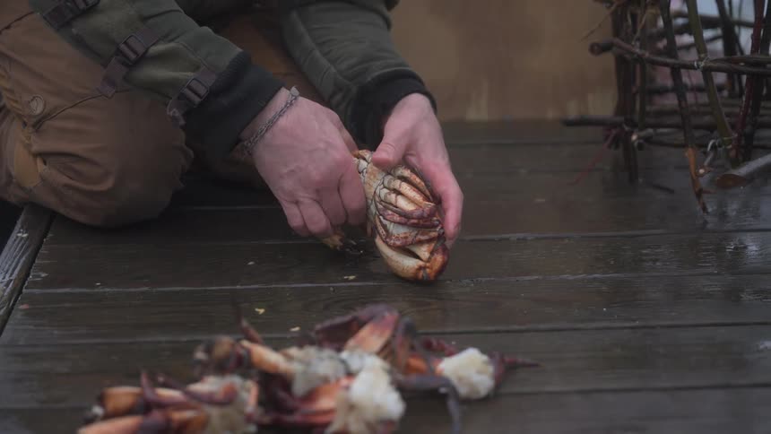 Pair of hands of a man cleaning a crab