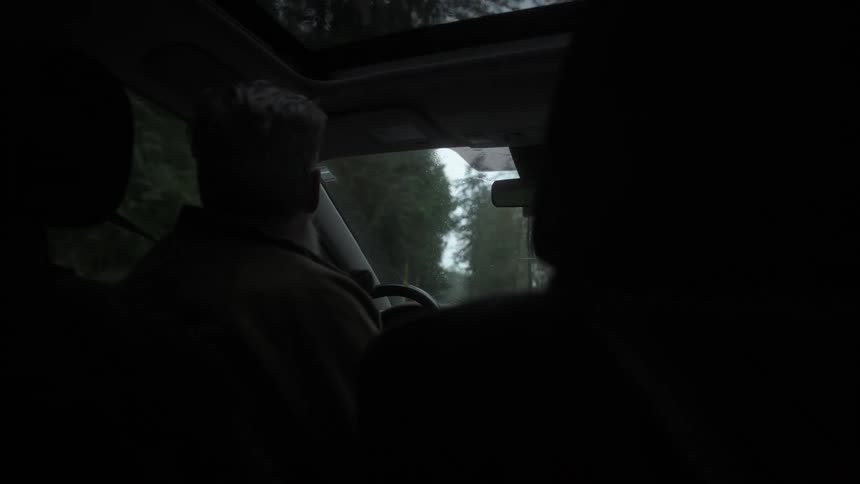 Person inside a vehicle driving