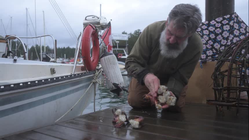 A footage of an elderly man at the dockyard