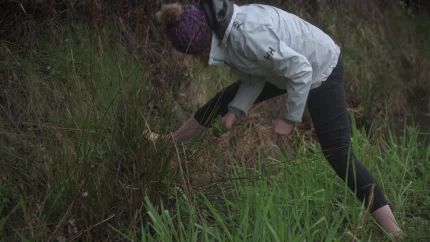 Woman picking sprouts on the side of the road and giving them to a man