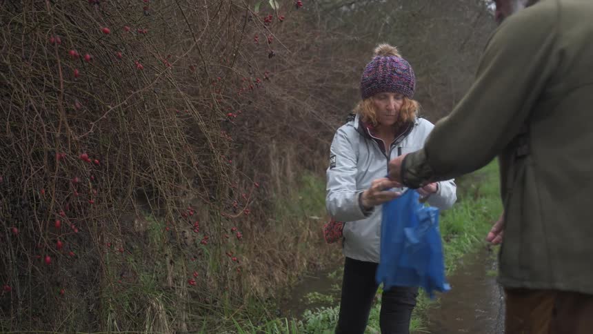 Woman collecting fruit from branches on the riverbank and placing it in a bag that a man is holding