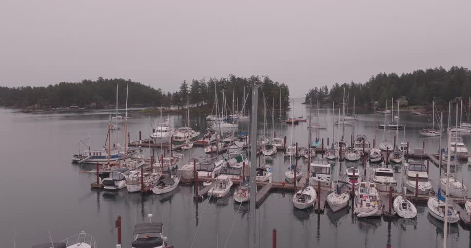 Several sailboats are docked at a marina on a cloudy day