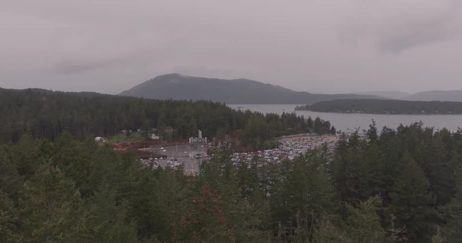 Aerial landscape of a forest and mountains and a marina in the background