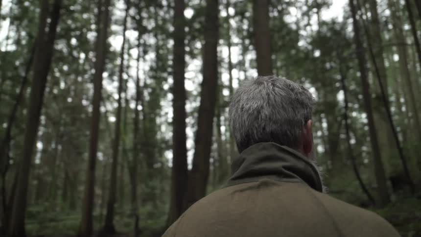 A man walks past a fallen tree in the forest