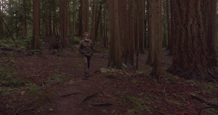 A man with his hands in his pockets is walking through the woods on a path