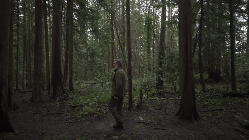 Man walking alone through a forest