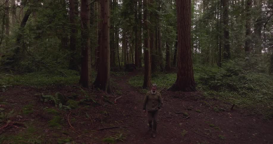 A man is walking through a forest with tall trees