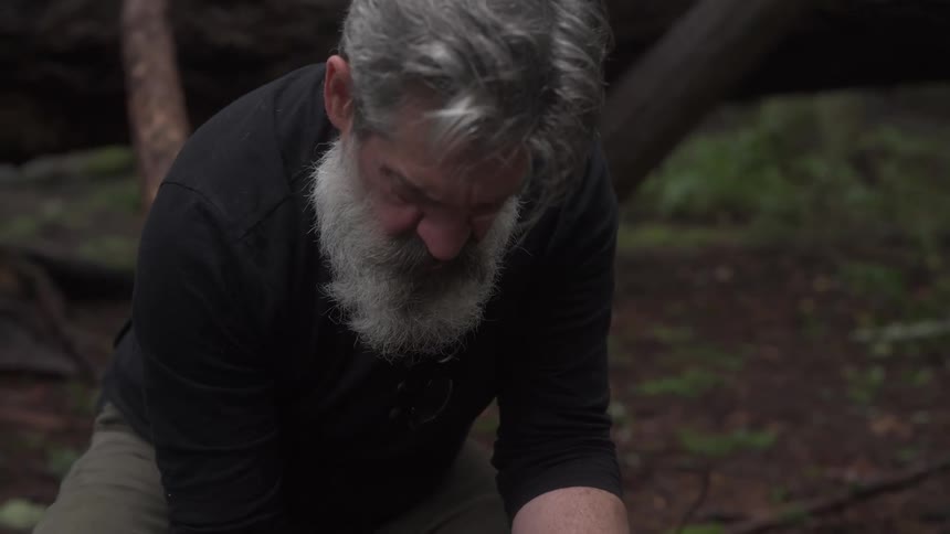 A bearded man sits by a fallen tree in the woods focused on completing a task