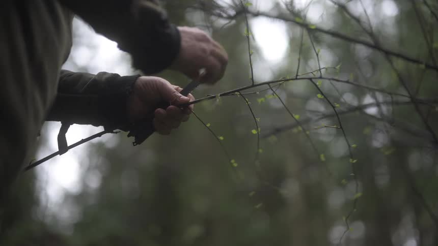 Person removing branches from a branch