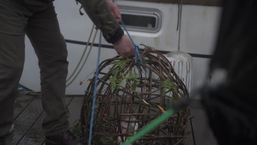 Person tying a blue rope to a fishing trap