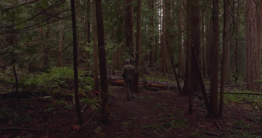 Man walking along a forest trail during daytime