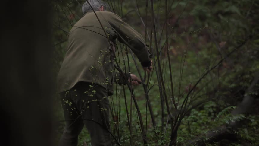 Man in a forest with a knife cutting branches from a tree