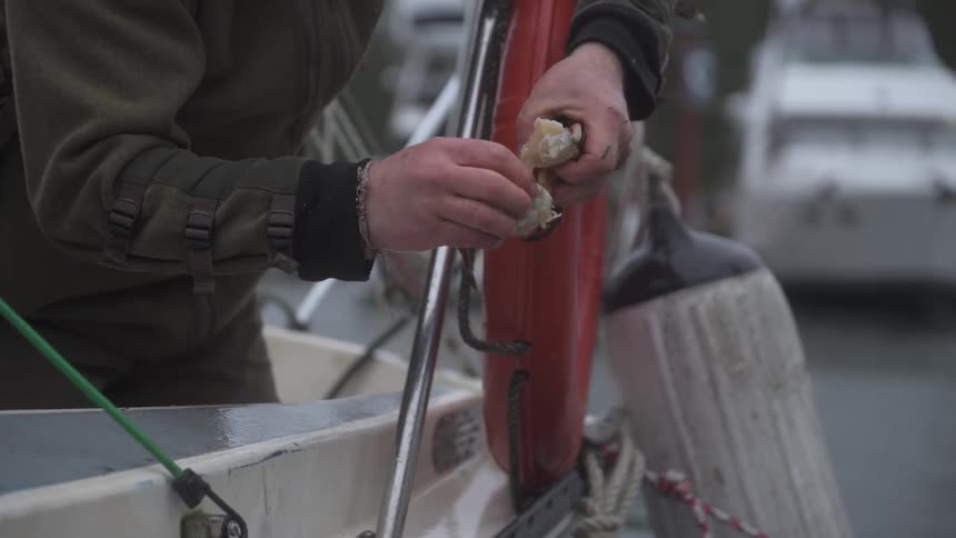 A footage of a man holding a shrimp
