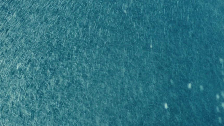 Rain falling on the surface of a car