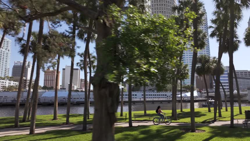A cyclist rides along a palmlined path in a park with a river and tall city buildings in the background